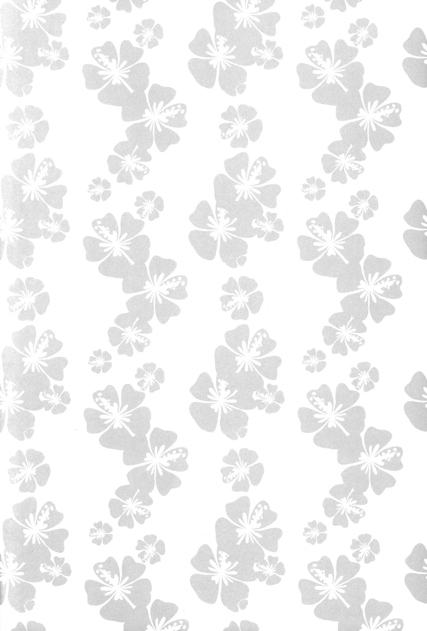 Poppun Summer Chapter 1000 Page 3